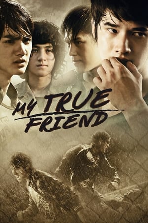 Friends Never Die (2012) Hindi Dubbed [1.1GB] HD Poster Download - filmyfly