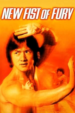 New Fists of Fury 1976 Dual Audio Hindi 360MB HD Poster Download - filmyfly