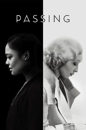 Passing 2021 Hindi Dual Audio 320MB HD Poster Download - filmyfly